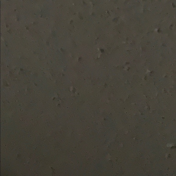 Meet your Posher, Gingie - Picture 1 of 1